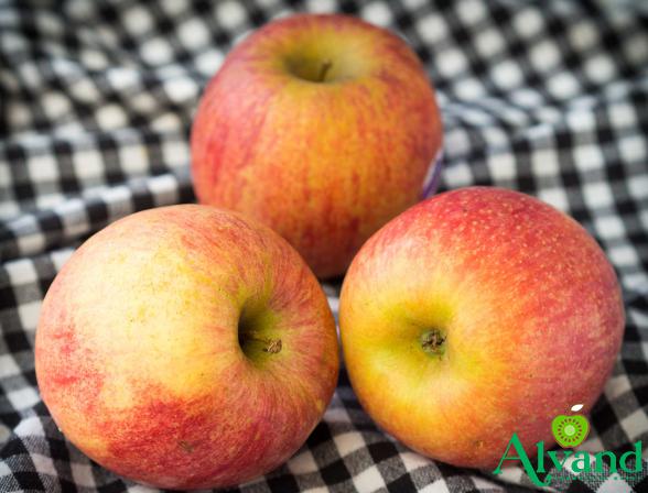 The best Price of Fuji Apples in the Seasonal Fruit Market
