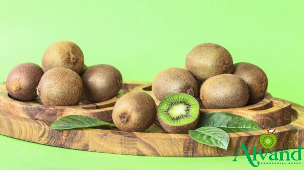 Main Suppliers of  Quality Fresh Organc Kiwi