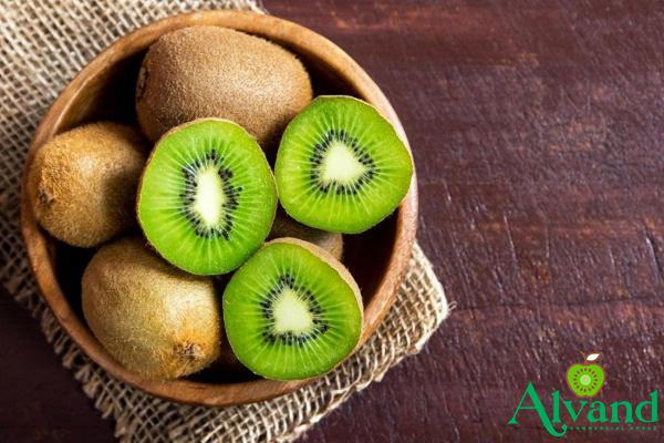 Classification of Persian Kiwi Fruit Based on Quality in the Export Sector