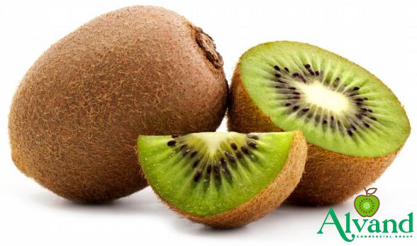 High Quality Kiwi Fruit Trade