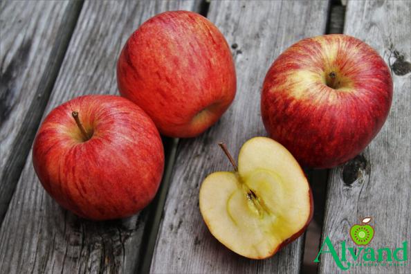       Where are the Best Braeburn Apples Packaging Companies?