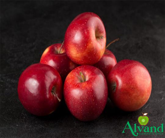 International Sellers of Organic Red Delicious Apple