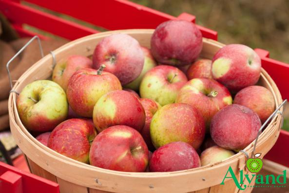 The Wholesale Price of Natural Apple in the Fruit Sector