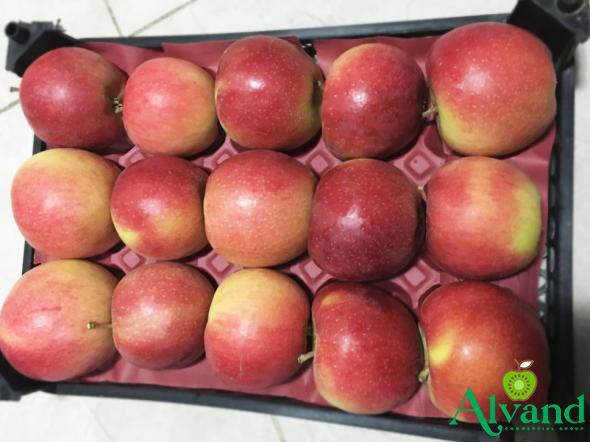 Fuji Apples Packaging and Distribution Companies