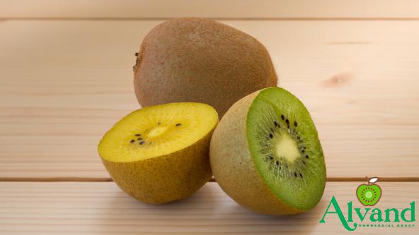   5 Different Types of Yellow Kiwi Fruits Models 