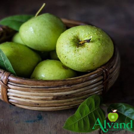 Types of Lebanese Apples in all over the World