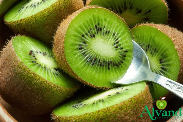             What is the Best Model of Local Natural Kiwi?