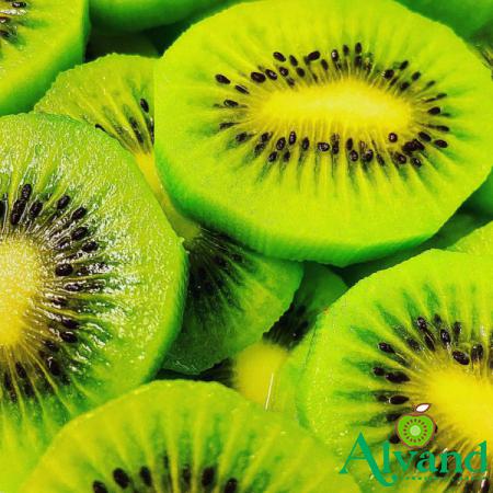  Sell High Quality Fresh Kiwi