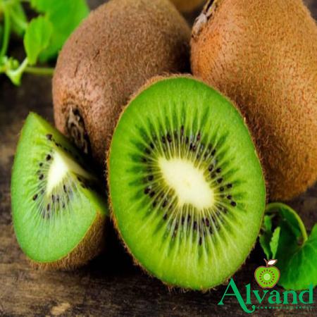 Approved Price of Green Kiwi in the Export Sector