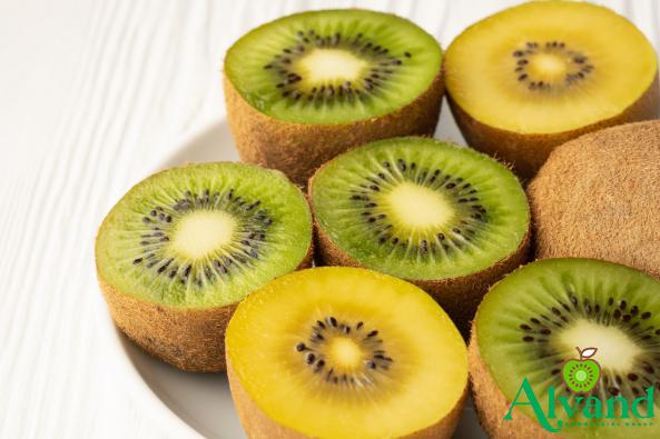 Green Kiwi Fruit Exports in the World