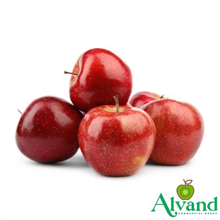 Shopping Guide of Best Apple Fruit for Buyers