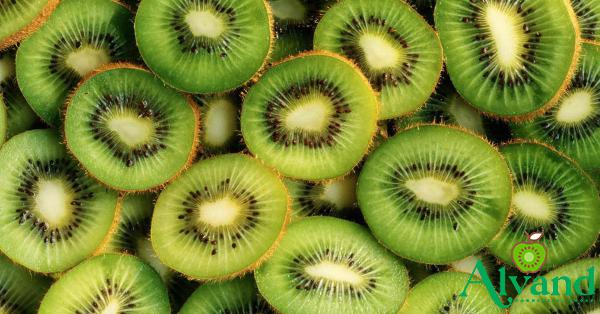 Amazing Discount of Sweet Kiwi Fruit