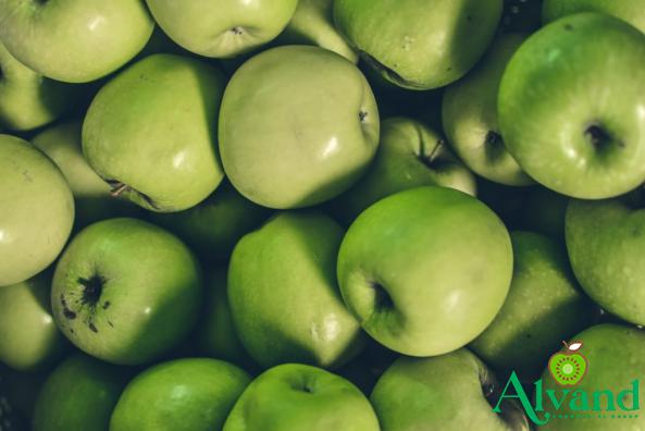 Guide to Buying Juicy Wild Apple for Major Distribution in the Fruit Market