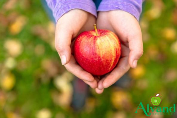 What are the Appearance Characteristics of Best Wild Apple?