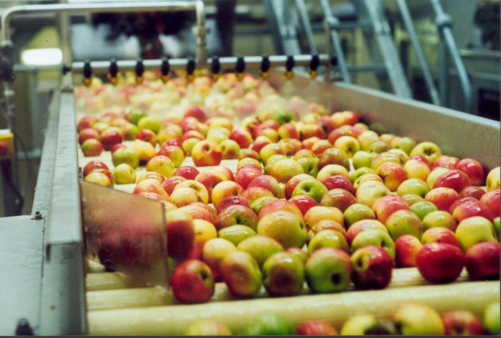 Production of apple company