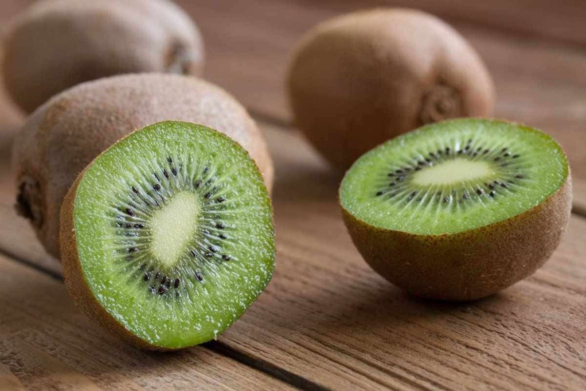 Largest Kiwi Fruit; Fluffy Brown Skin 3 Minerals Copper Iron Phosphorus