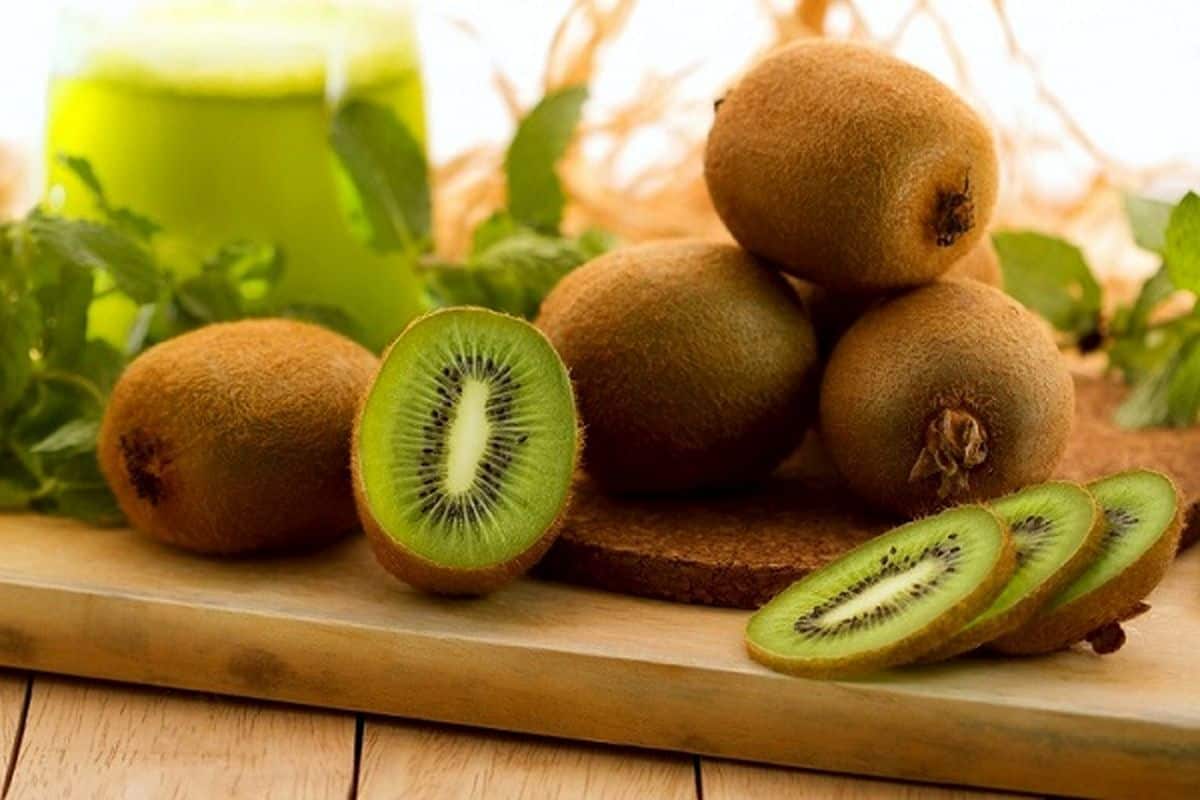  Largest Kiwi Fruit; Fluffy Brown Skin 3 Minerals Copper Iron Phosphorus 