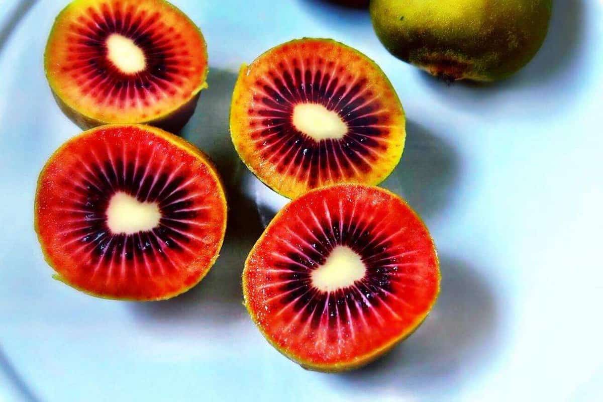  Japanese Red Kiwi; Sweet Sour Tastes 3 Minerals Calcium Iron Potassium 