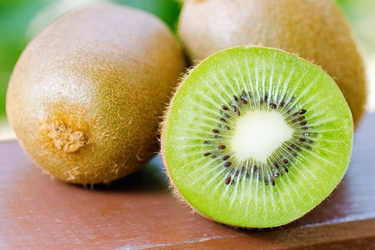  Kiwi Fruit (Chinese Gooseberry) Green Golden Red Colors Soft Texture 