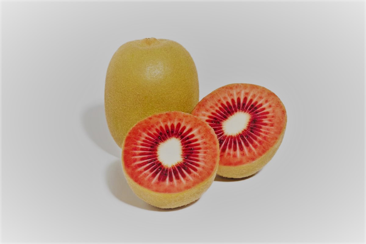  Red Kiwi (Blood Kiwi) Sweet Nutritional & Antioxidant Benefits 