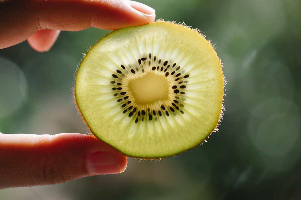  Japanese Kiwi Fruit; Pleasant Aroma 3 Minerals Calcium Magnesium Iron 