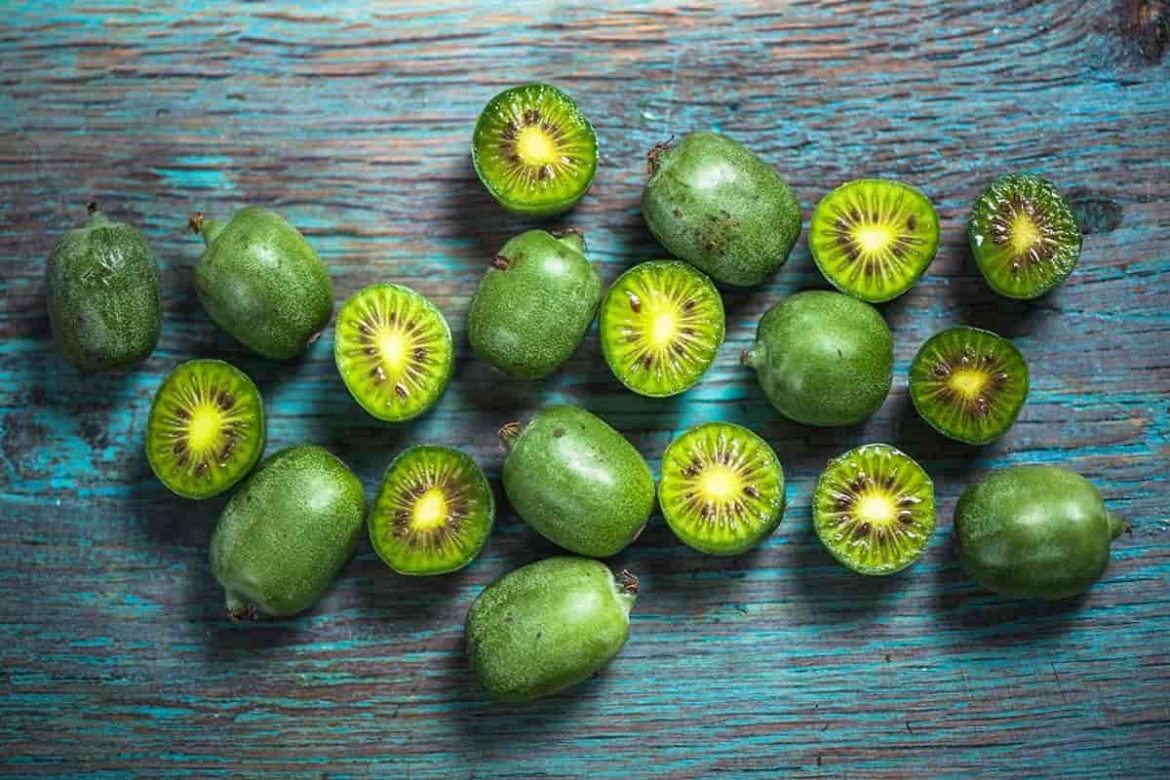 Baby Kiwi; Thin Smooth Skins 3 Vitamins A B C