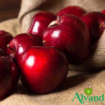 Buy and price of the best red apples