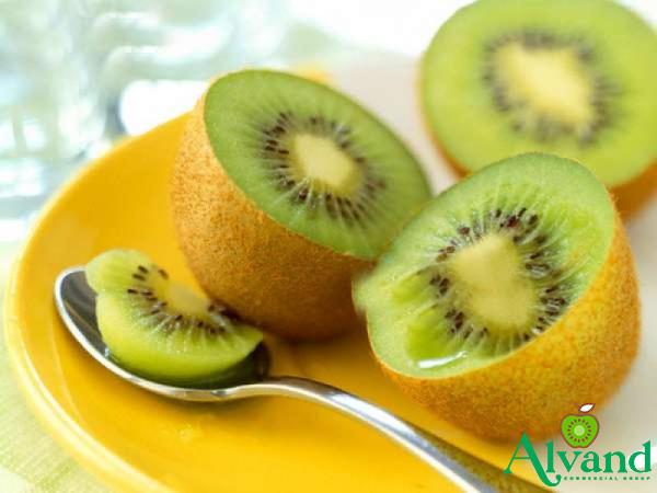 Getting to know large kiwis + the exceptional price of buying large kiwis