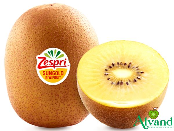 Golden kiwi purchase price + sales in trade and export
