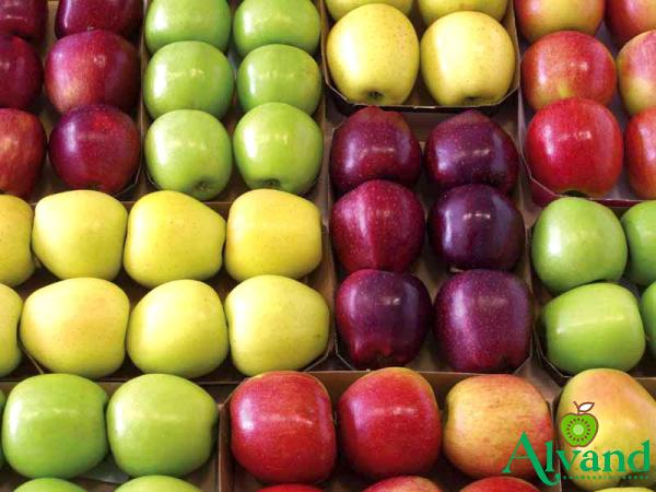 Gala apples vs red delicious + best buy price