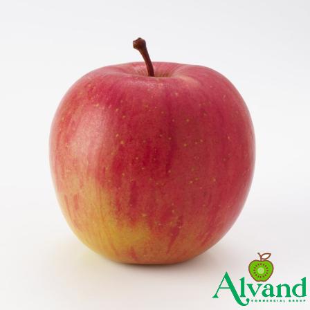 The price of dark apples + purchase and sale of dark apples wholesale