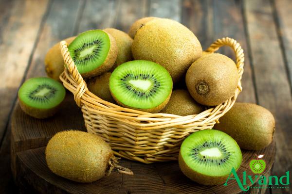 Purchase and today price of kiwi fruit types