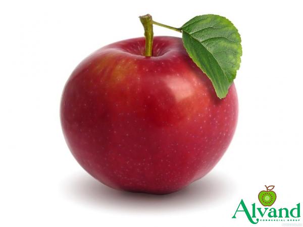 Buy south africa red fuji apple at an exceptional price