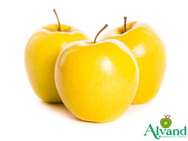 Buy and price of golden apple quality fruits