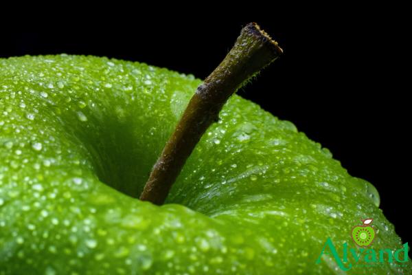 Apple fruit green purchase price + user guide