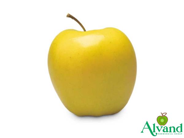 Buy yellow apple + introduce the production and distribution factory