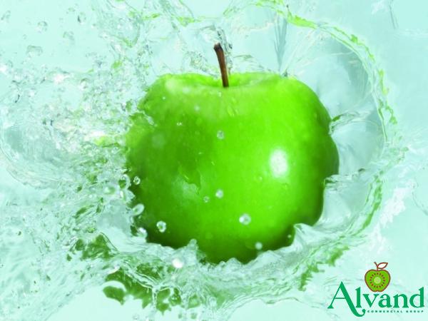 The best price to buy green apple fruit