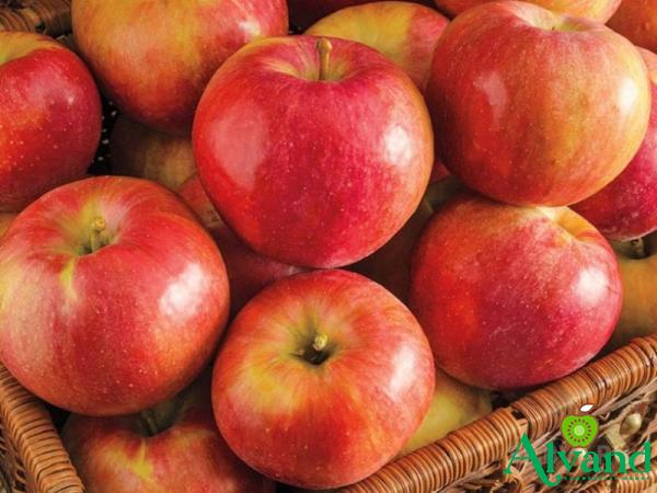 Buy the latest types of gala royal apple