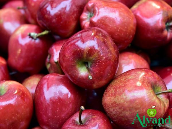 Price and buy fuji or gala apples sweeter + cheap sale