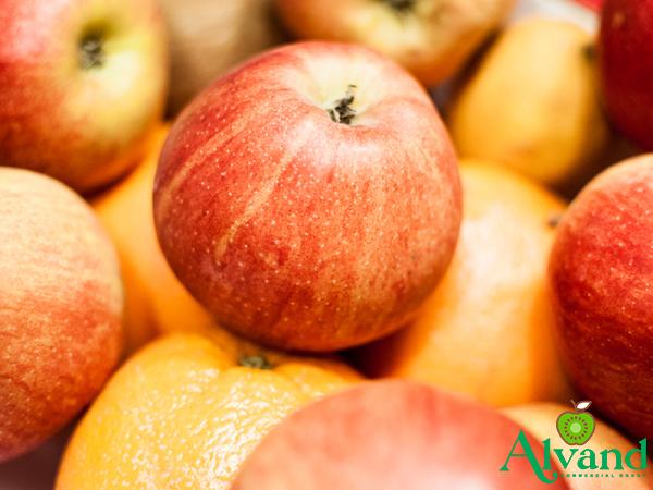 Buy the latest types of different types of apples