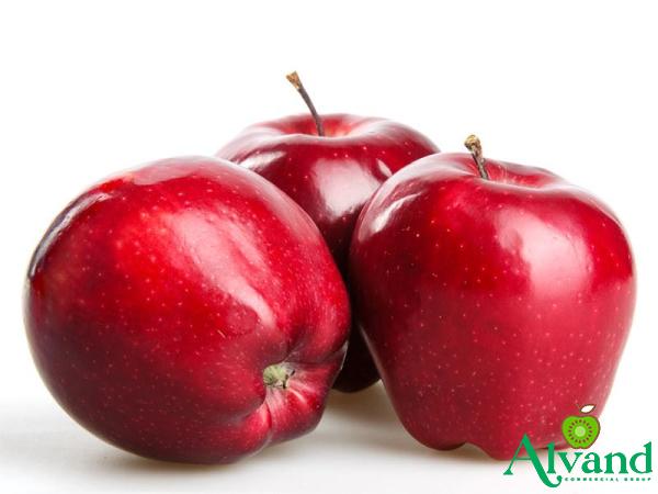 Buy retail and wholesale the best red apples price