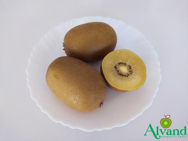 The price of golden kiwi + purchase and sale of golden kiwi wholesale