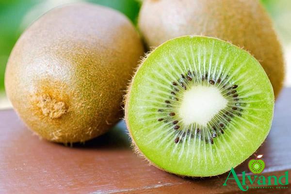 The price of golden kiwifruit + purchase and sale of golden kiwifruit wholesale