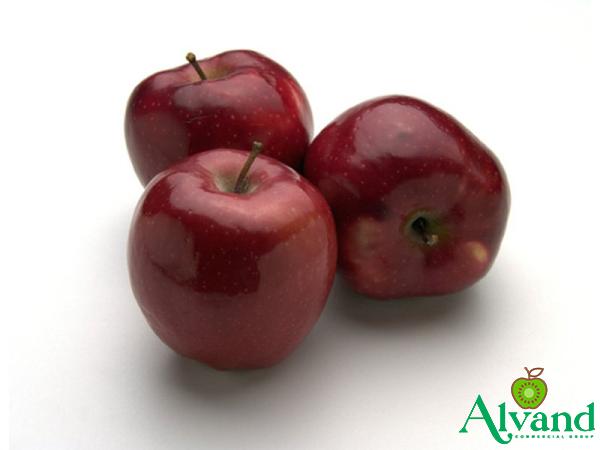 Buy best type of red apple + best price