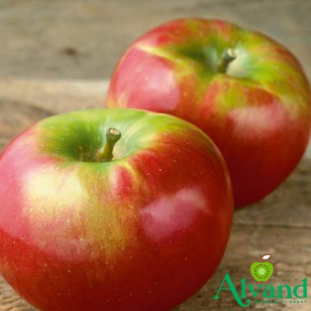 Buy the latest types of sweetest red apple