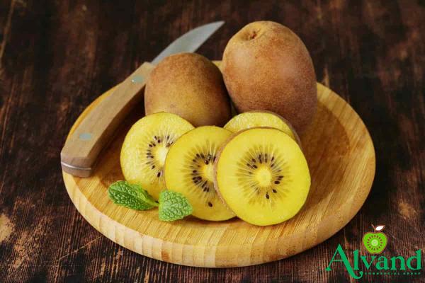 Golden kiwi fruit price + wholesale and cheap packing specifications