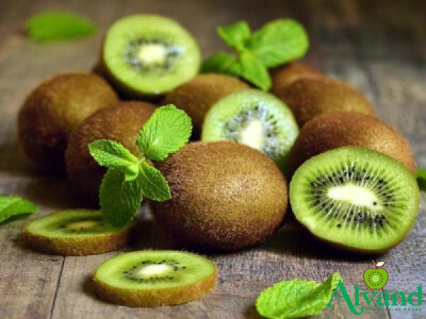 Getting to know Hardy kiwi + the exceptional price of buying Hardy kiwi