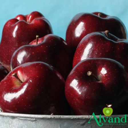 Apple dark red price + wholesale and cheap packing specifications