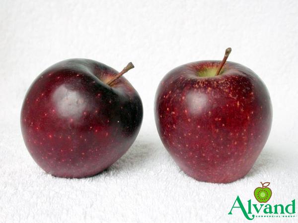Red apples UK purchase price + photo