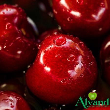 Best red apples for eating | Buy at a cheap price
